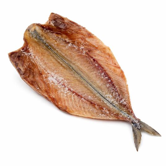 ESTORNINO SALADO MATIAS LOPEZ