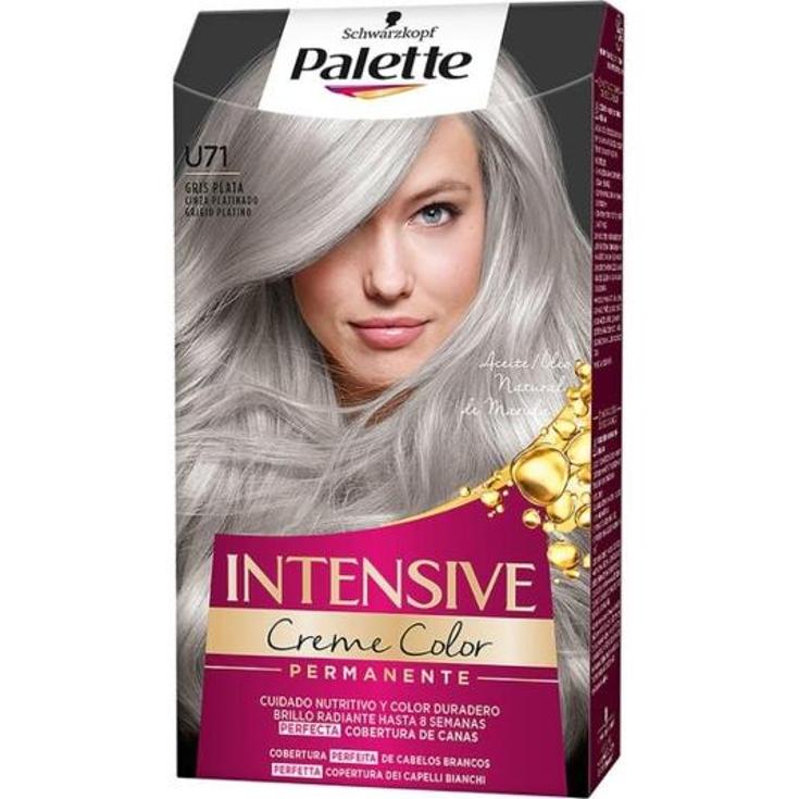 TINTE CABELLO GRIS PLATA Nº71 PALETTE CAJA 1 UD
