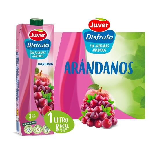 NECTAR DISFRUTA ARANDANOS JUVER BRIK 1 LT