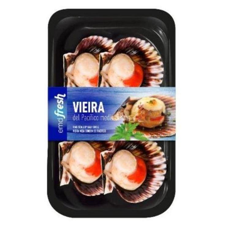 VIEIRA MEDIA CONCHA 4PZA ALIGATOR BDJA 250 GR