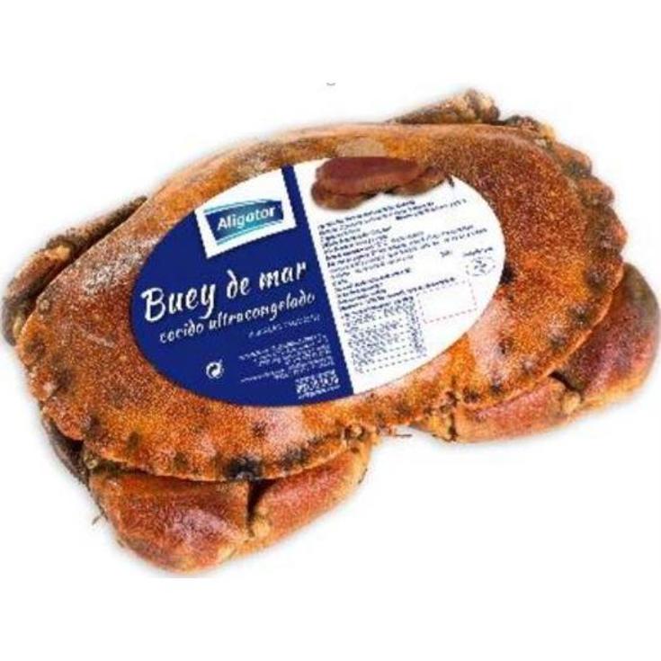 BUEY DE MAR 400/600 ALIGATOR UNIDAD