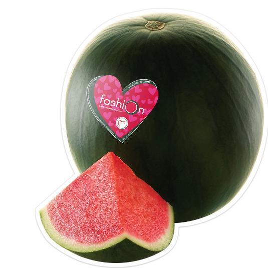 SANDIA FASHION CAL-3 FASHION