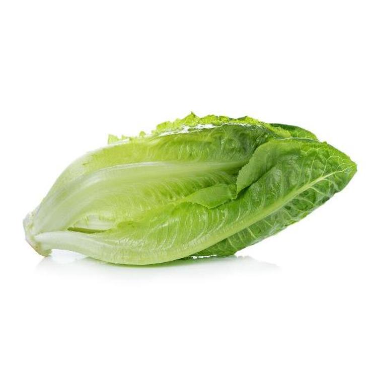 LECHUGA CORAZON-ROMANA UND UD