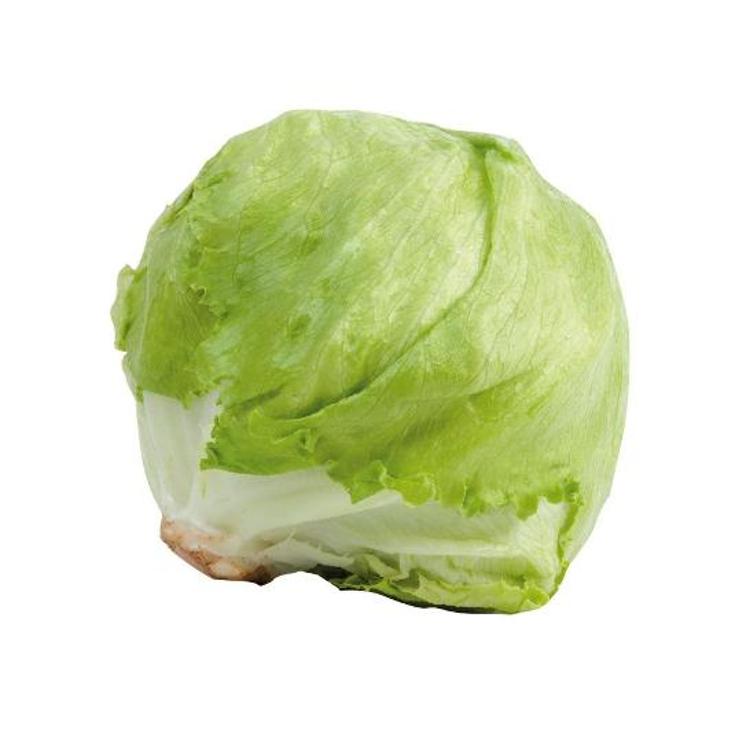 LECHUGA ICEBERG UNIDAD UD