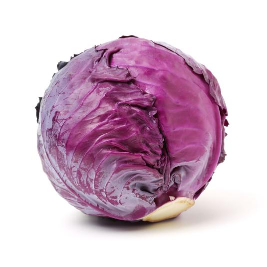 LOMBARDA