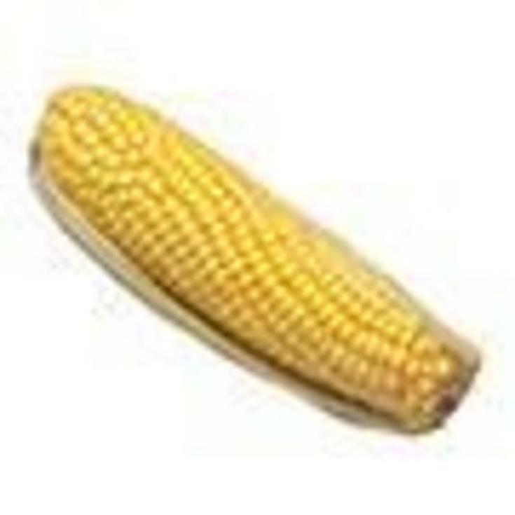 MAIZ COCIDO (2UND) BDJA UD