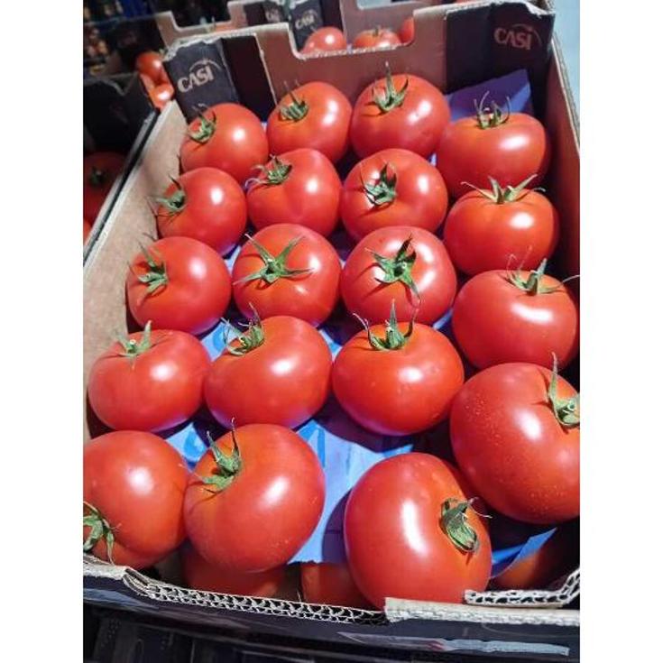 TOMATE CANARIO