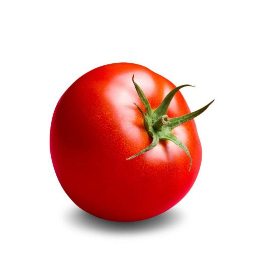 TOMATE CANARIO