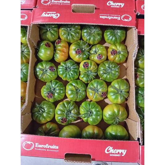 TOMATE RAF SELECCION