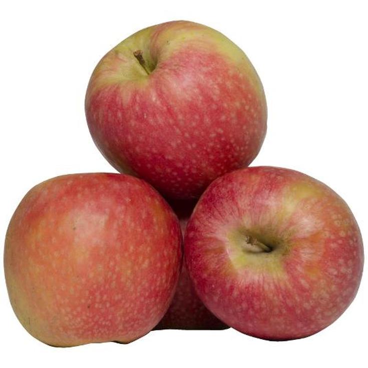 MANZANA PINK LADY