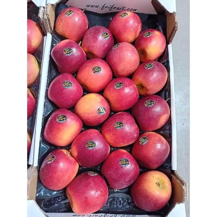 MANZANA ROYAL GALA 1 MANTO