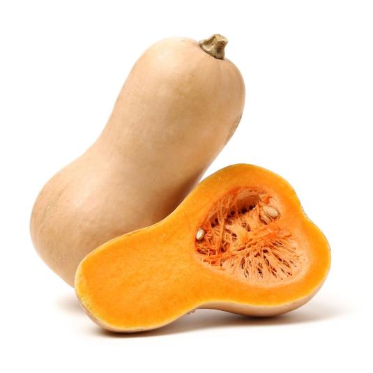 CALABAZA VIOLIN