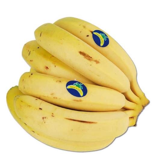 PLATANO CANARIO