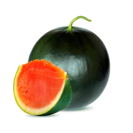 SANDIA FASHION CAL-4