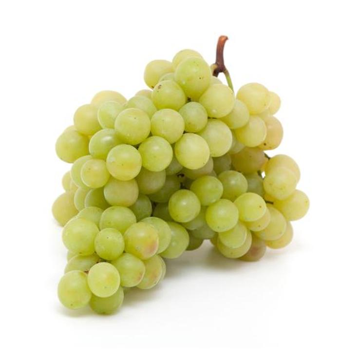 UVA DE ALEDO