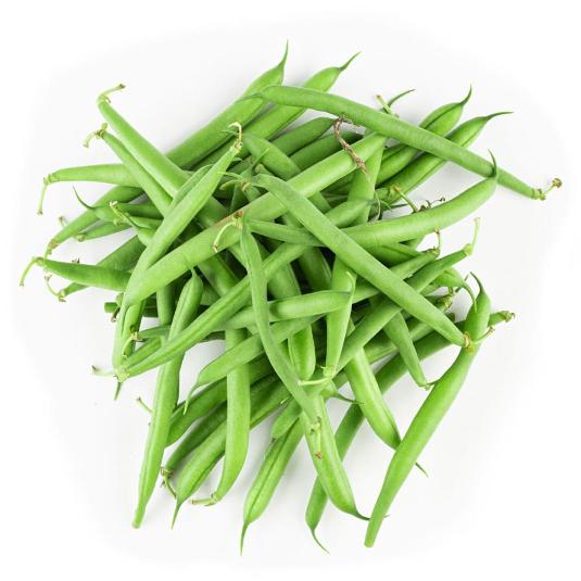 JUDIA FINA MALLA 350 GR