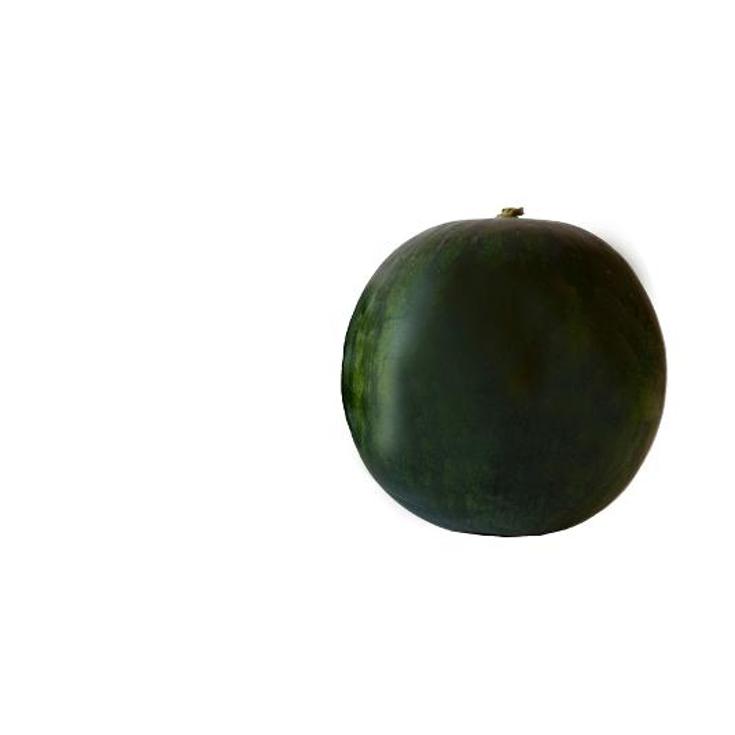 SANDIA RAYADA DE CAPARROS