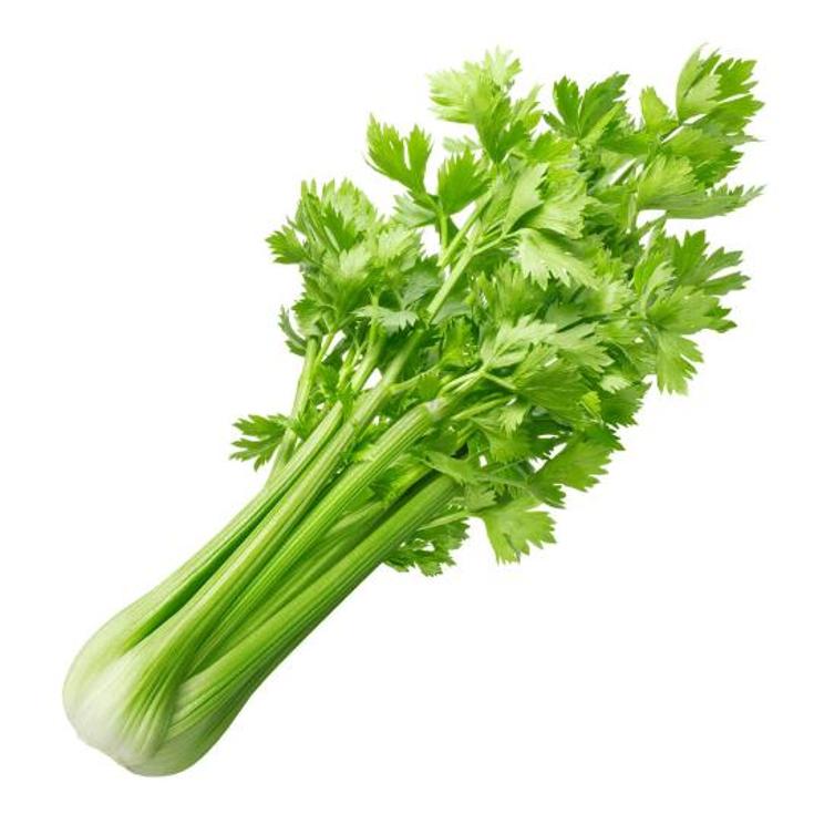 APIO PAQUETE 450 GRAMOS UNIDAD 450 GR