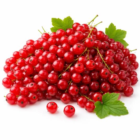 GROSELLA BAND 125 UD