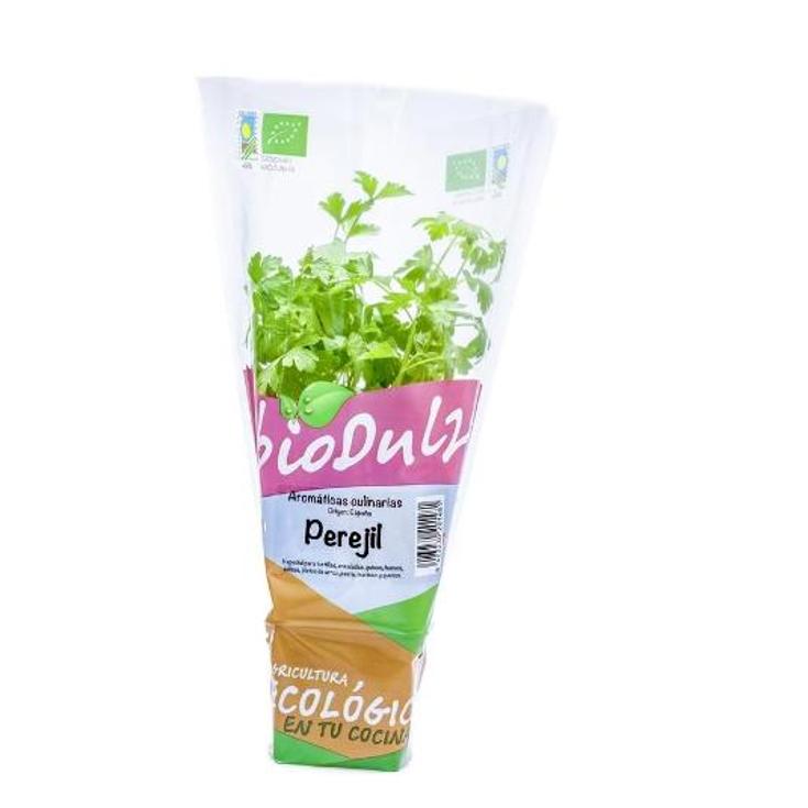 PEREJIL LISO GENERICO MACETA