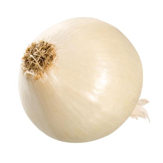 CEBOLLA BLANCA