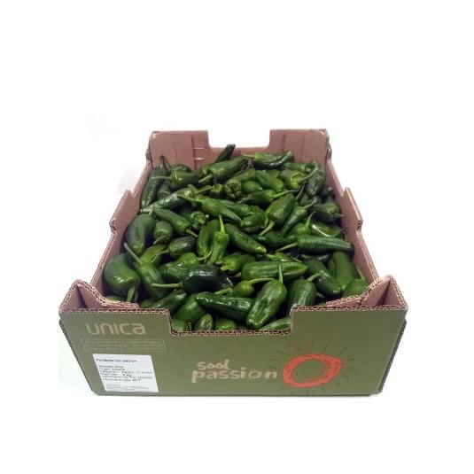 PIMIENTO PADRON