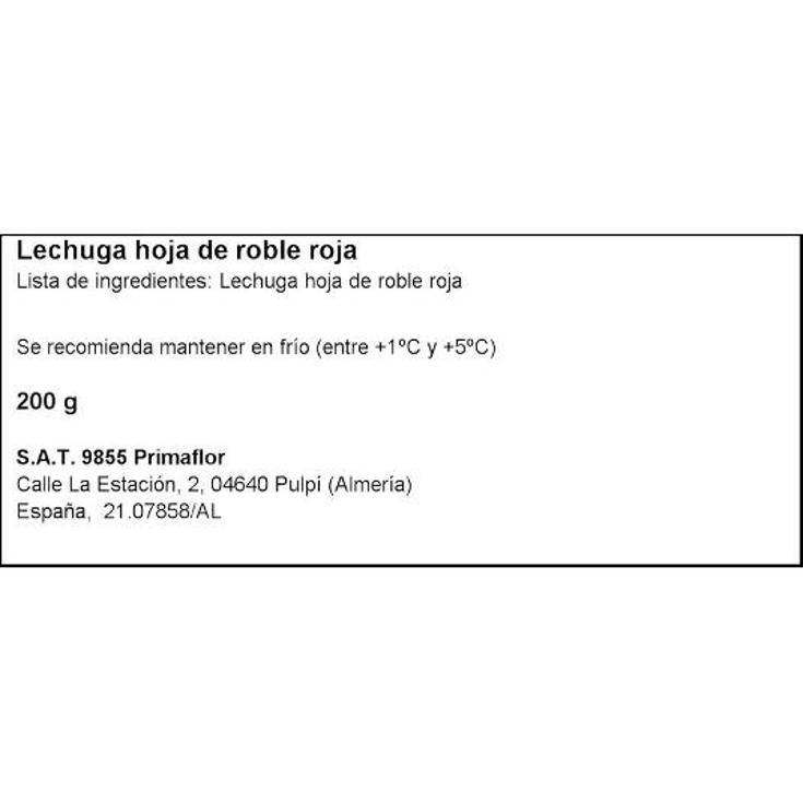 HOJA DE ROBLE ROJA BOLSA