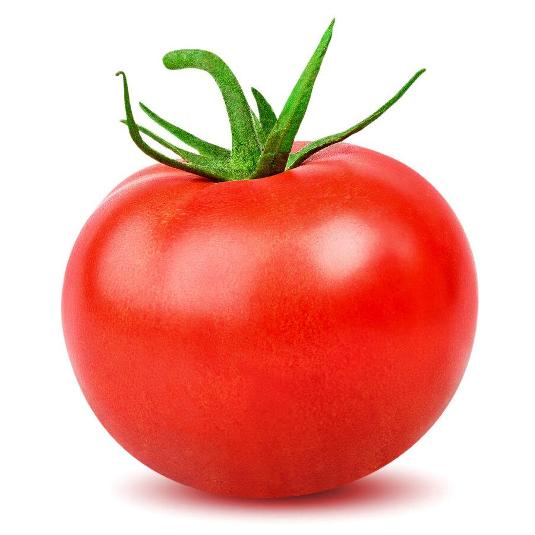TOMATE DANIELA M-MM