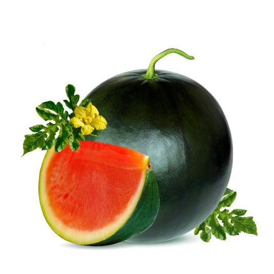 SANDIA NEGRA S/P DON MELOM DON MELO