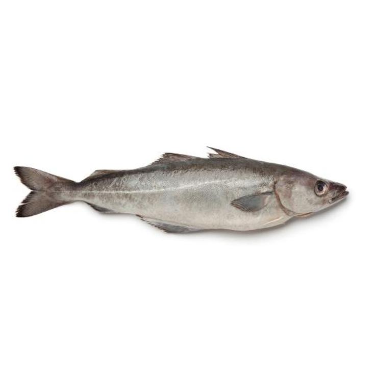 FOGONERO