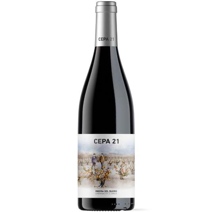 VINO TINTO RIBERA 12 MESES 14º CEPA 21 BTLLA 75 CL