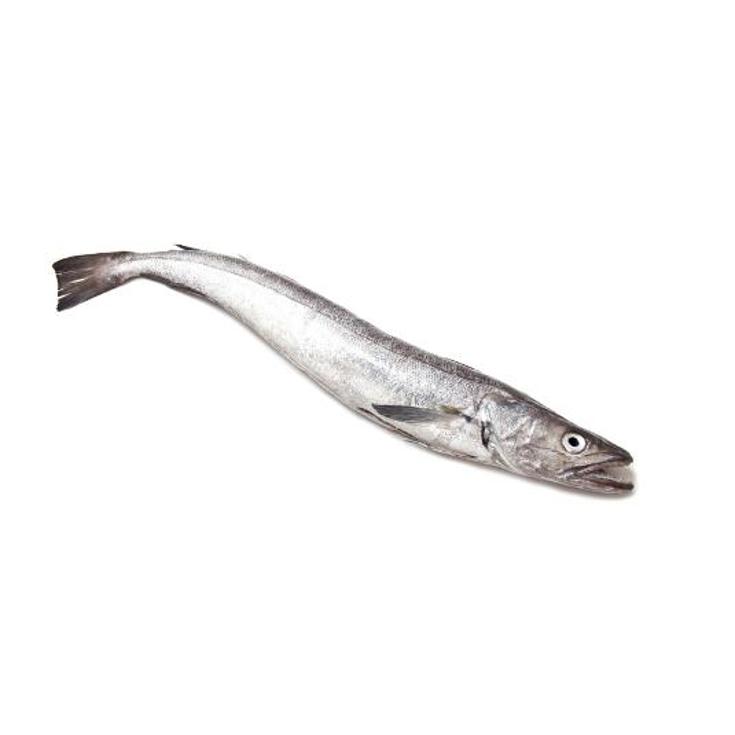 PIJOTA O CRIA