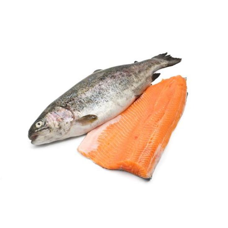 FILETE DE TRUCHA