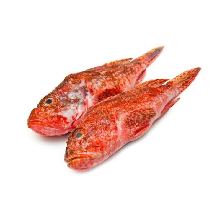 GALLINETA