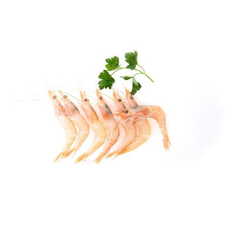 GAMBA BLANCA P
