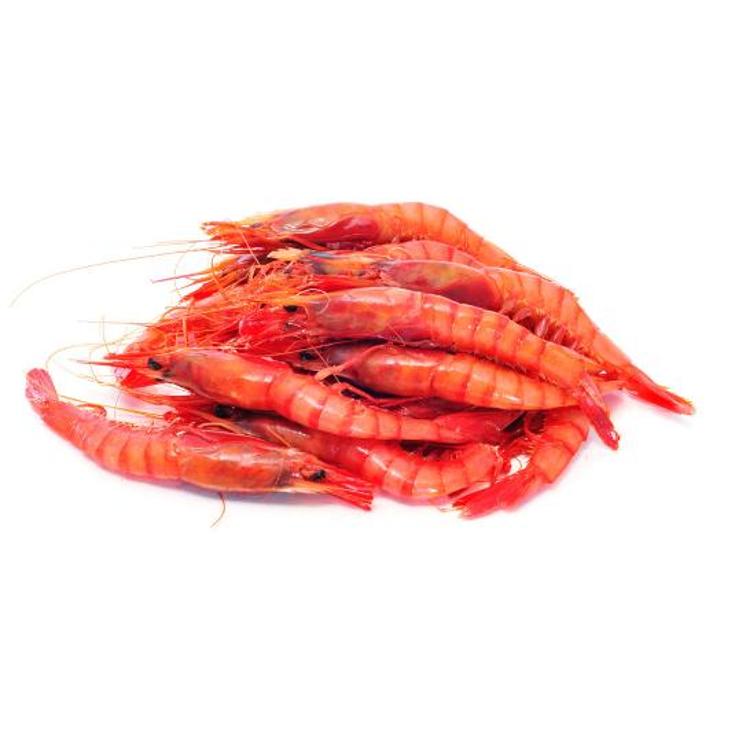 GAMBA ROJA P