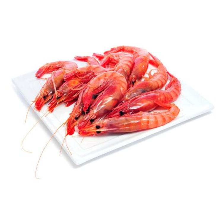 GAMBA ROJA G FRESCA