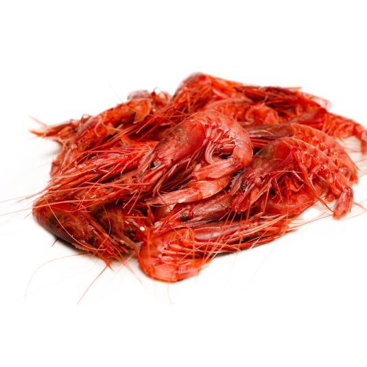 GAMBA ROJA MEDIANA