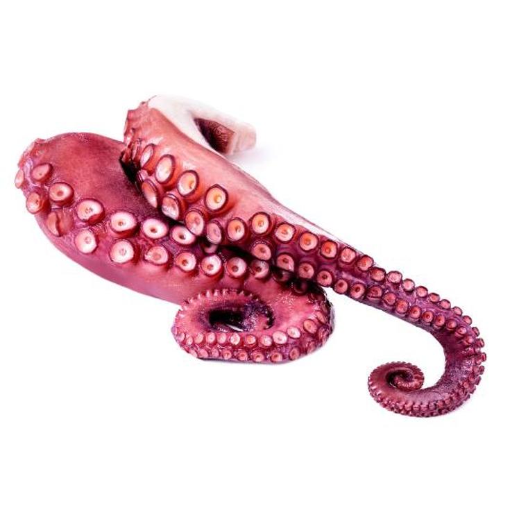 PULPO COCIDO