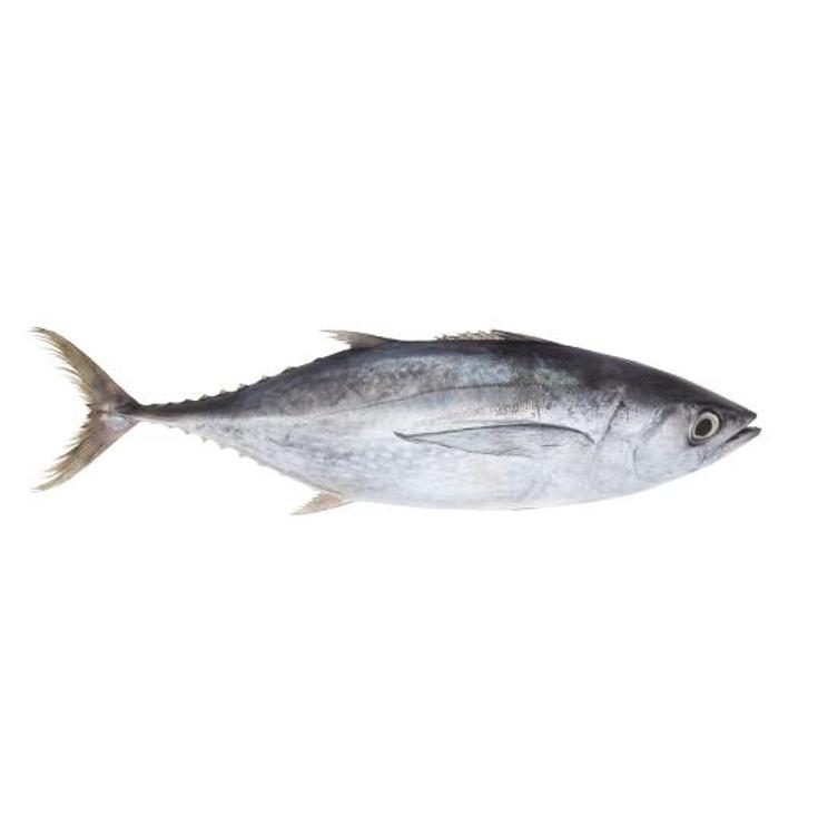 ALBACORETA