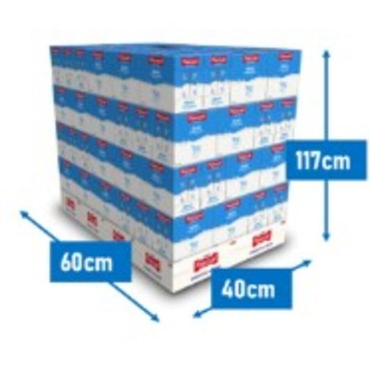 EXPOSITOR 180 UDS. LECHE SEMI PASCUAL LOTE 1 UD