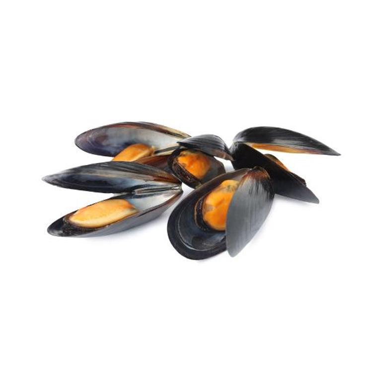 MEJILLON ET.NEGRA PUNTA CABALO