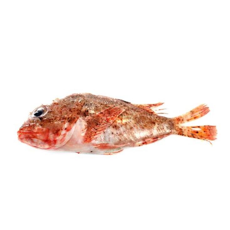 RASCACIO