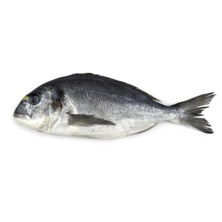 DORADA NACIONAL